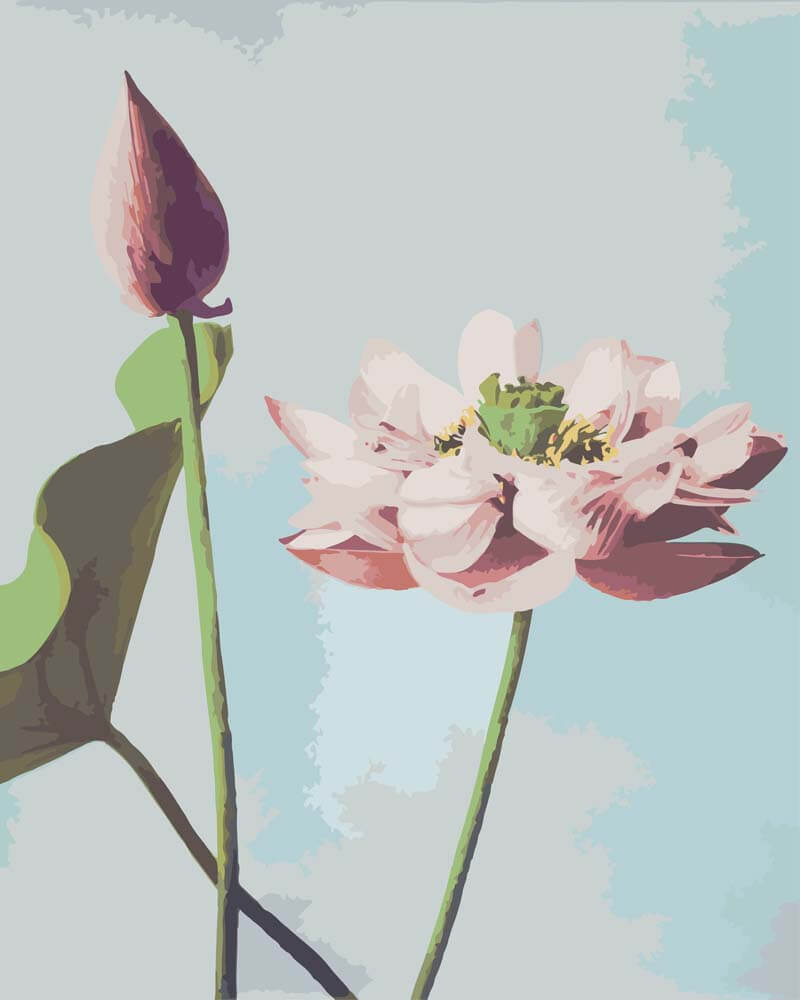 
Paint by Numbers - Beautiful Photomechanical Prints of Lotus Flowers (1887–1897) | Ogawa Kazumasa
