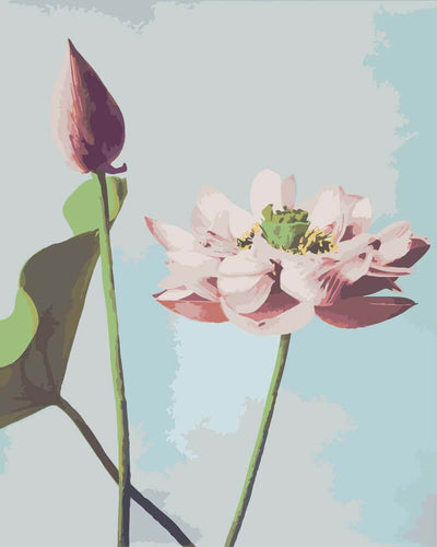 Paint by Numbers - Beautiful Photomechanical Prints of Lotus Flowers (1887–1897) | Ogawa Kazumasa