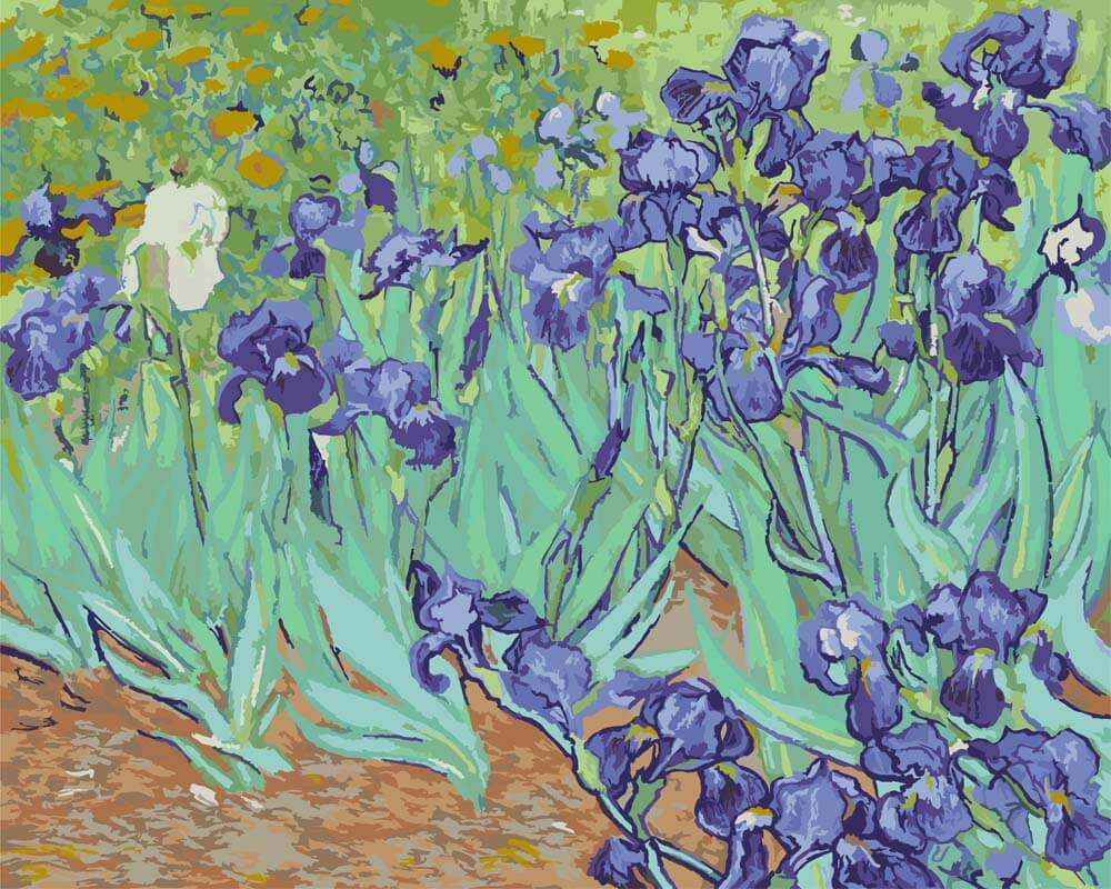 
Paint by Numbers - Irises | Vincent van Gogh
