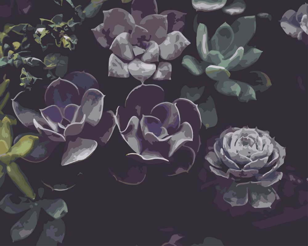 Paint by Numbers - Succulents in the Allan Gardens