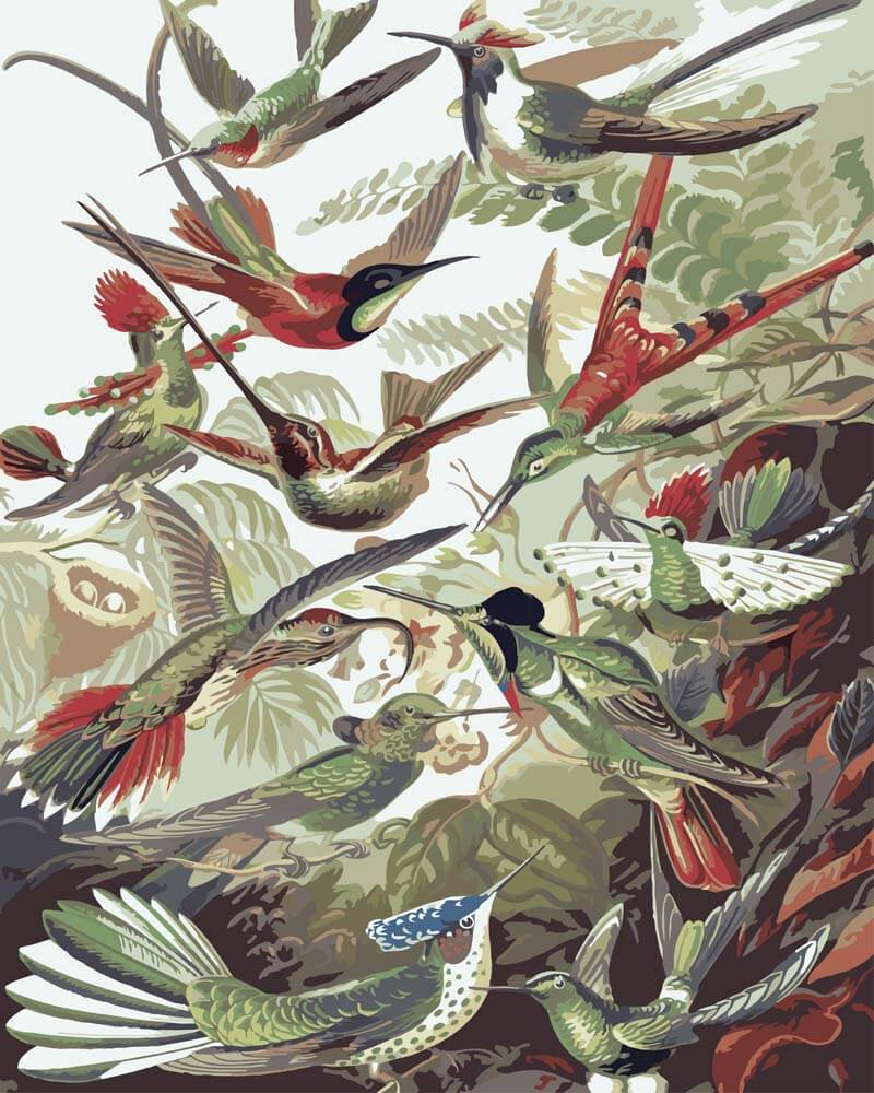 
Paint by Numbers - Trochilidae–Kolibris | Ernst Haeckel