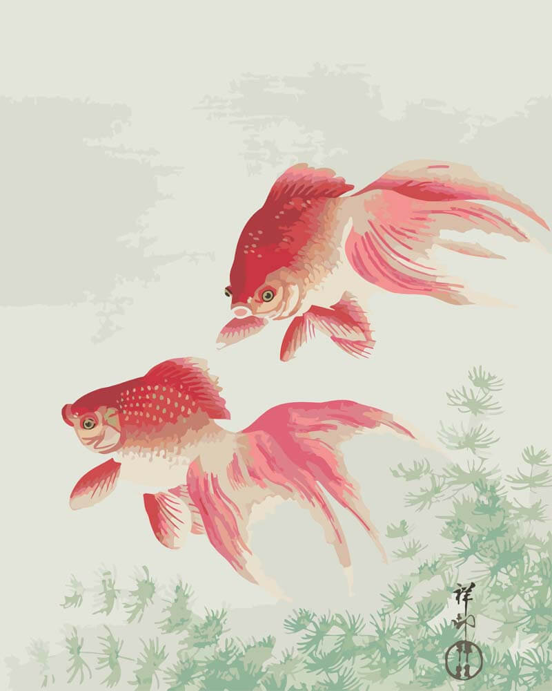 
Paint by Numbers - Two Veiltail Goldfish | Ohara Koson