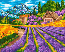 Load image into Gallery viewer, Paint by Numbers DIY - Alpine village
