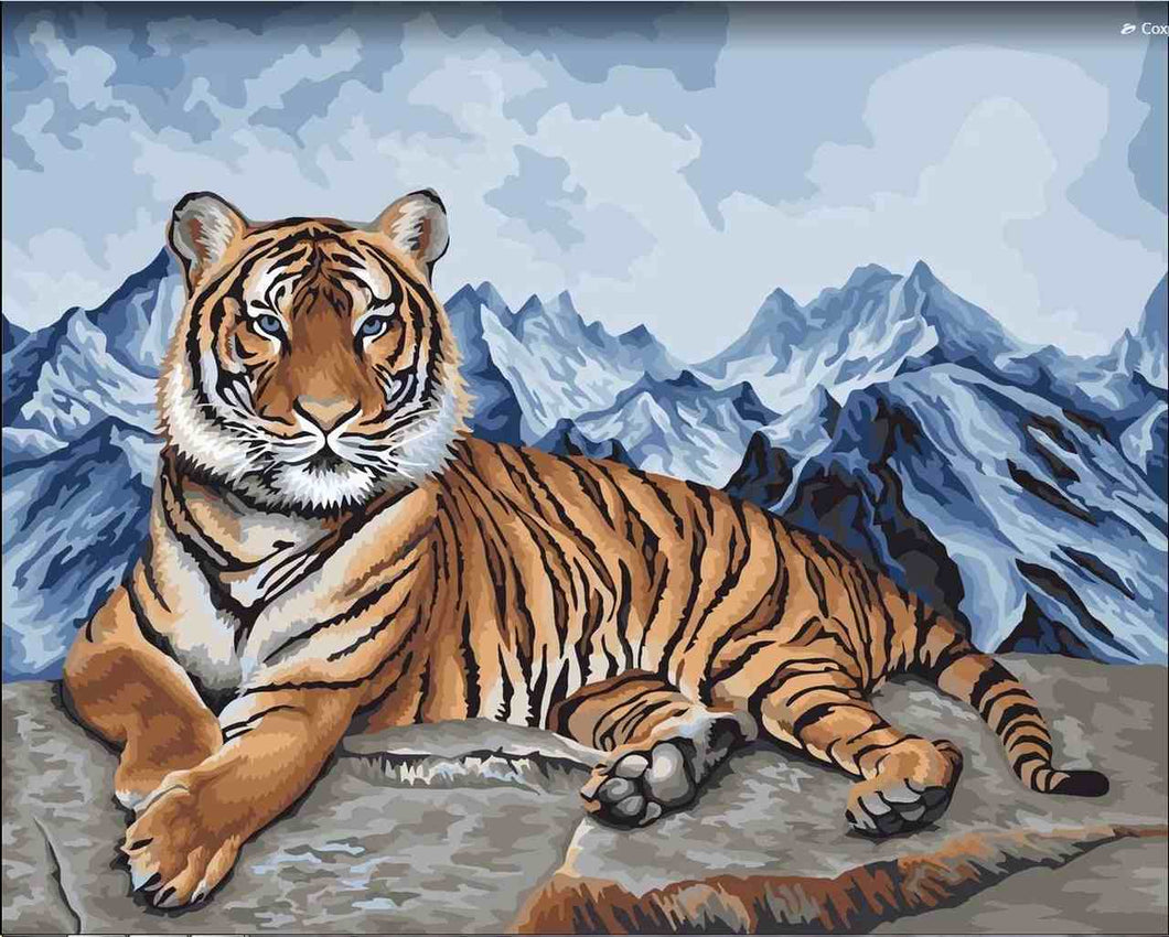 Paint by Numbers DIY - Amur Tiger