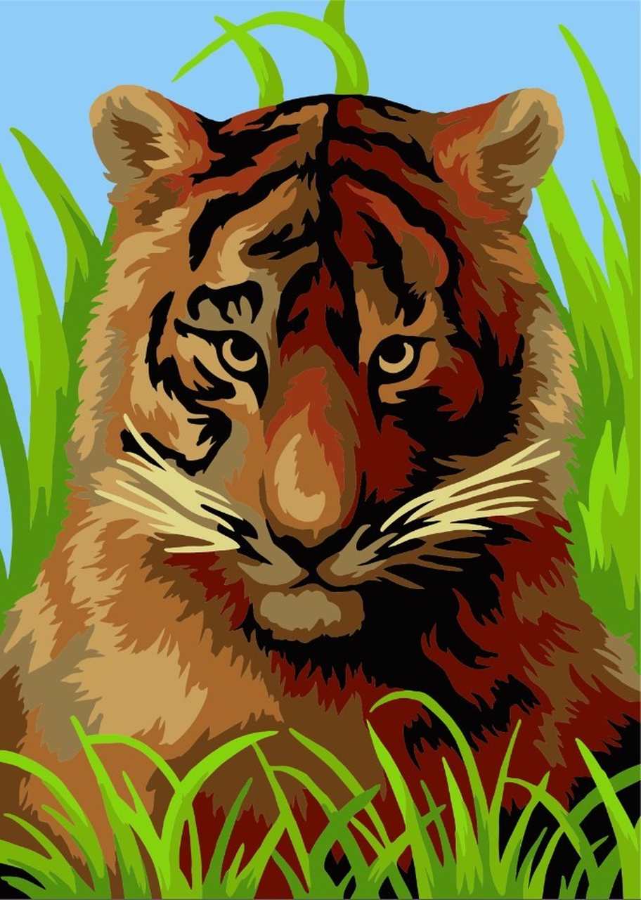 Paint by Numbers DIY - Baby tiger - MINI