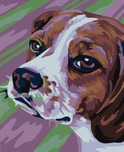 Load image into Gallery viewer, Paint by Numbers DIY - Beagle - MINI
