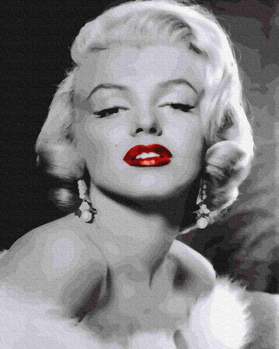 Paint by Numbers DIY - Beautiful Marilyn Monroe
