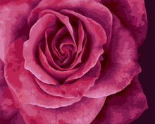 Load image into Gallery viewer, Paint by Numbers DIY - Beautiful rose
