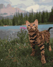 Load image into Gallery viewer, Paint by Numbers DIY - Bengal cat in the mountains

