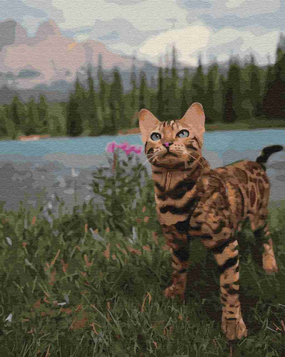 Paint by Numbers DIY - Bengal cat in the mountains