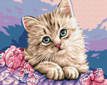 Load image into Gallery viewer, Paint by Numbers DIY - Blue-eyed kitten

