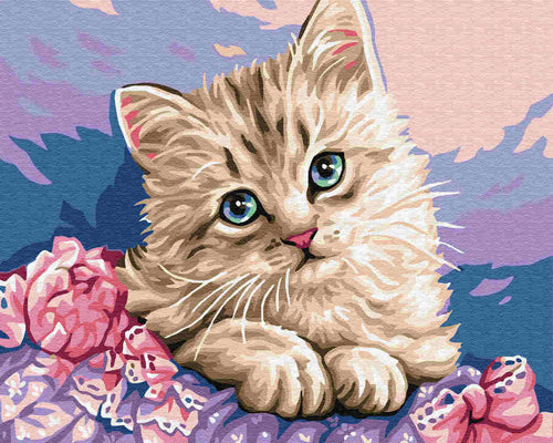 Paint by Numbers DIY - Blue-eyed kitten