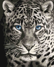 Load image into Gallery viewer, Paint by Numbers DIY - Blue-eyed leopard
