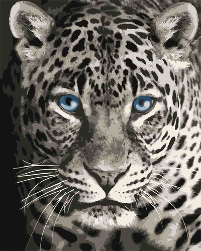 Paint by Numbers DIY - Blue-eyed leopard