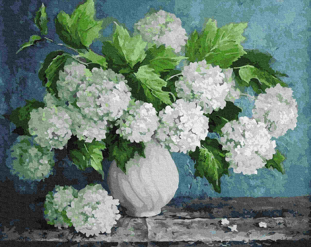 Paint by Numbers DIY - Bouquet of white hydrangeas