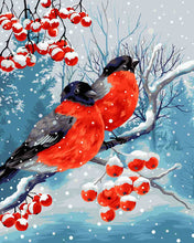 Load image into Gallery viewer, Paint by Numbers DIY - Bullfinches
