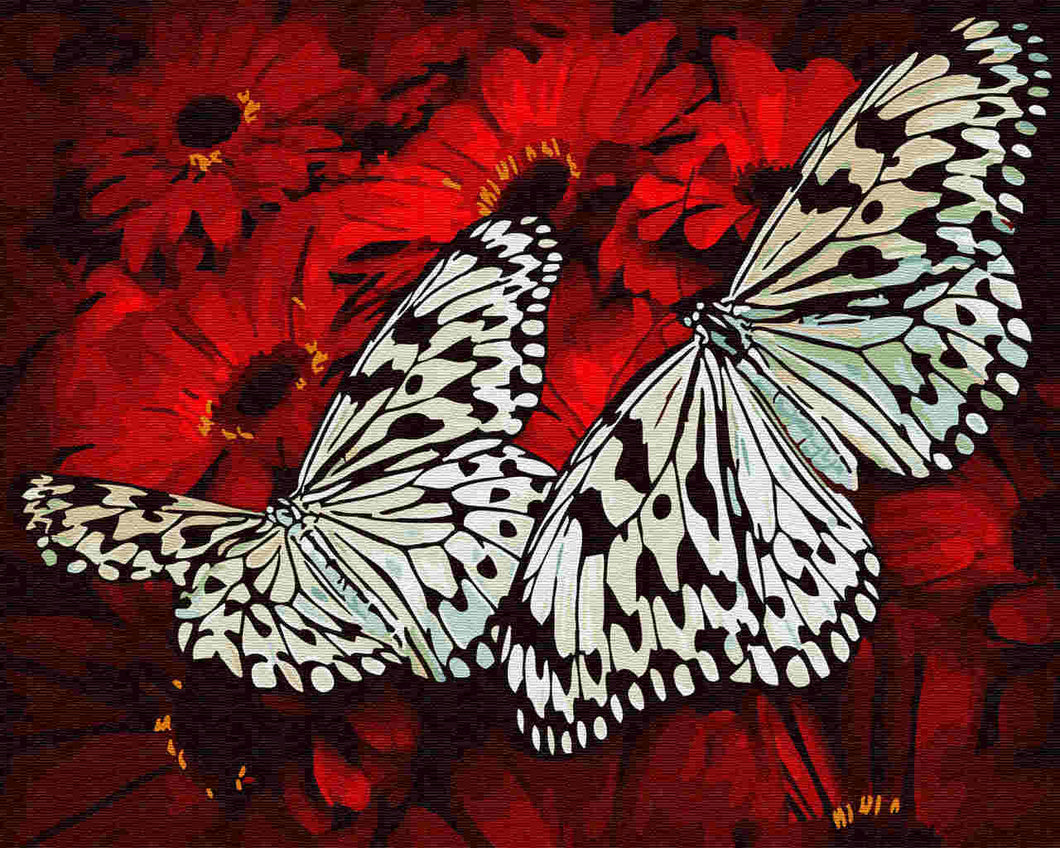 Paint by Numbers DIY - Butterflies on flowers