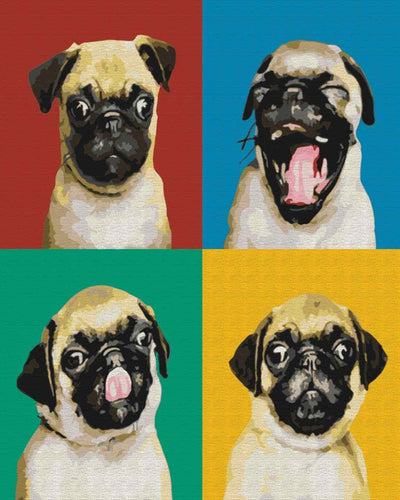 Paint by Numbers DIY - Collage with a pug