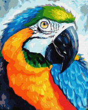 Load image into Gallery viewer, Paint by Numbers DIY - Colorful Parrot
