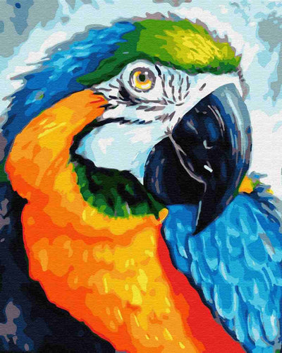 Paint by Numbers DIY - Colorful Parrot