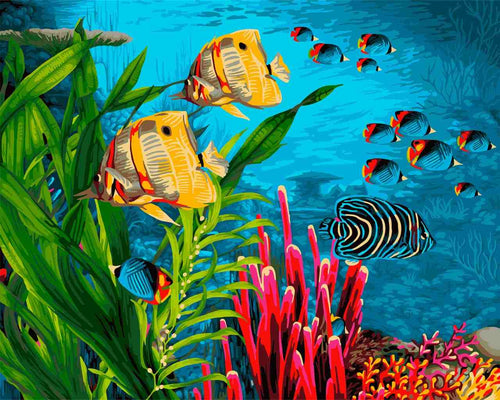 Paint by Numbers DIY - Coral Reefs