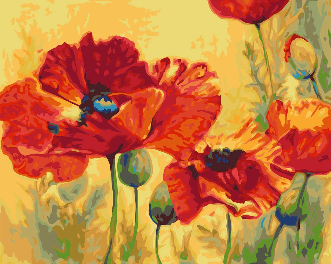 Paint by Numbers DIY - Corn Poppy
