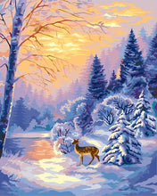 Load image into Gallery viewer, Paint by Numbers DIY - December morning
