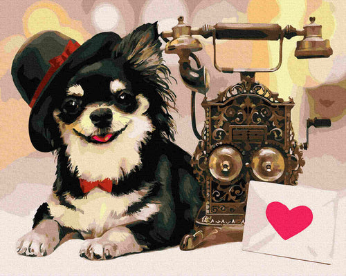 Paint by Numbers DIY - Dog Cavalier