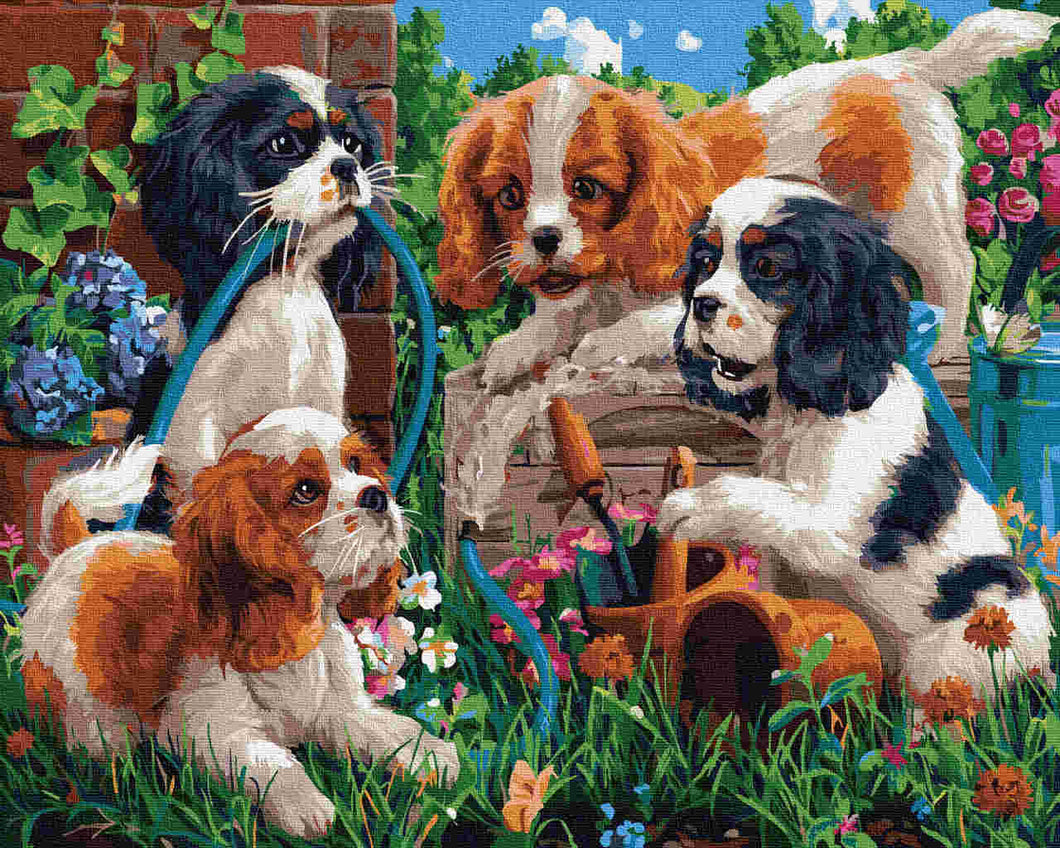 Paint by Numbers DIY - Dog Friends