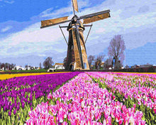 Load image into Gallery viewer, Paint by Numbers DIY - Dutch mills

