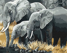 Load image into Gallery viewer, Paint by Numbers DIY - Elephant Family

