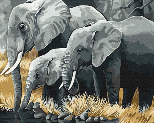 Paint by Numbers DIY - Elephant Family