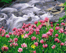 Load image into Gallery viewer, Paint by Numbers DIY - Flowering Waterfall
