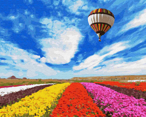 Paint by Numbers DIY - Flying over the lavender field