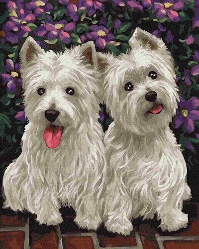 Paint by Numbers DIY - Funny Dogs