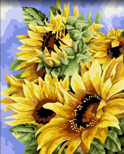 Paint by Numbers DIY - Golden Sunflowers