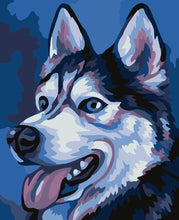 Load image into Gallery viewer, Paint by Numbers DIY - Husky - MINI

