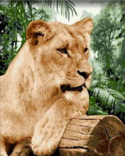 Load image into Gallery viewer, Paint by Numbers DIY - Lioness
