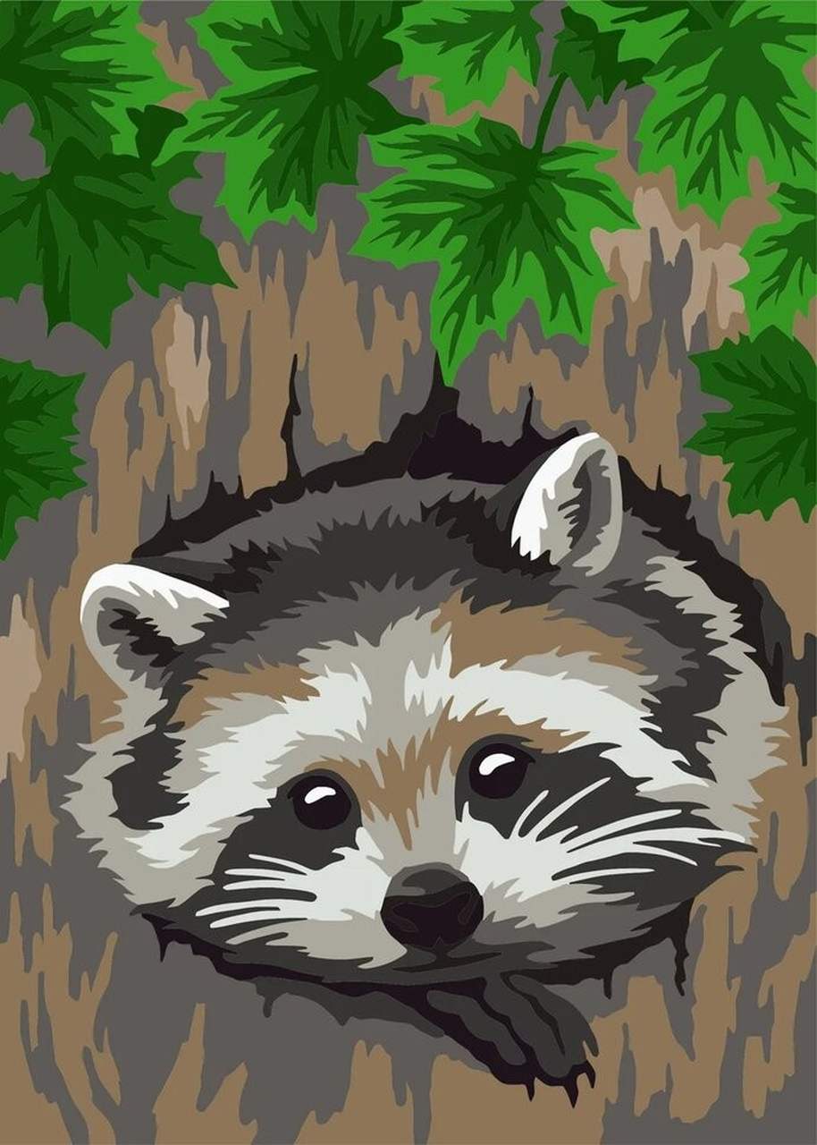 Paint by Numbers DIY - Little Raccoon - MINI