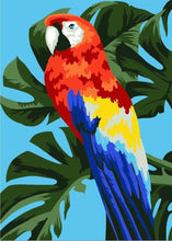 Load image into Gallery viewer, Paint by Numbers DIY - Macaws - MINI
