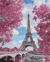 Load image into Gallery viewer, Paint by Numbers DIY - Magnolia in Paris
