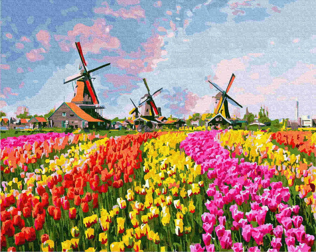 Paint by Numbers DIY - Mills in a tulip field