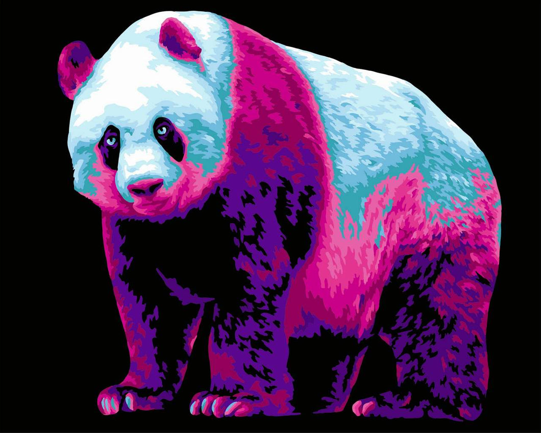 Paint by Numbers DIY - Neon Panda