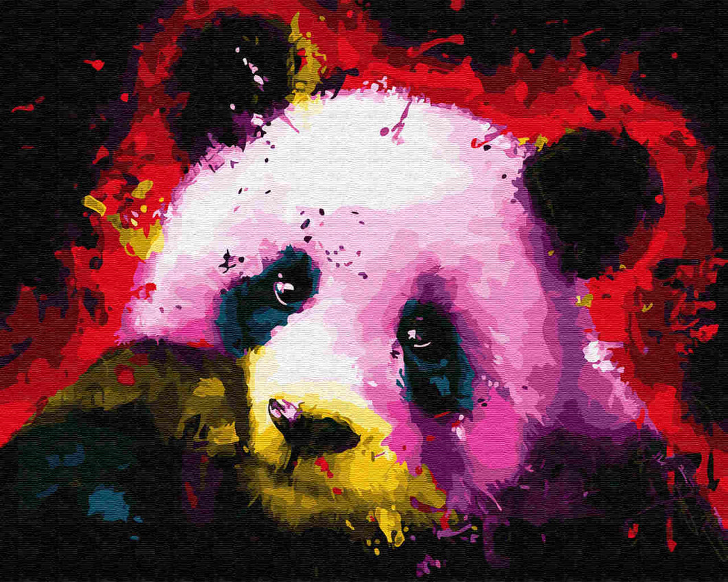 Paint by Numbers DIY - Panda in colors