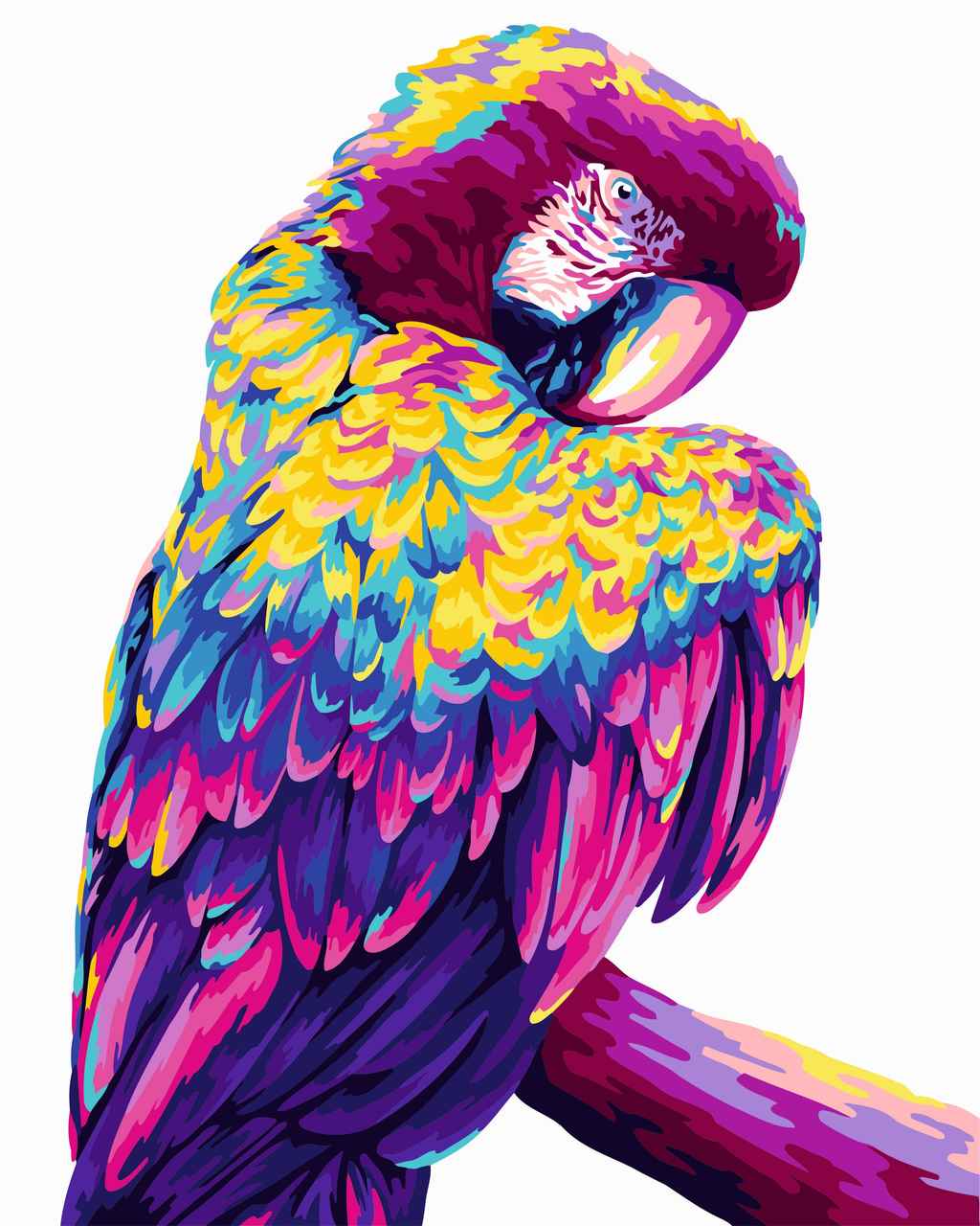 Paint By Numbers DIY Parrot Pop Art Paint By Numbers DIY   Paint By Numbers DIY Parrot Pop Art 