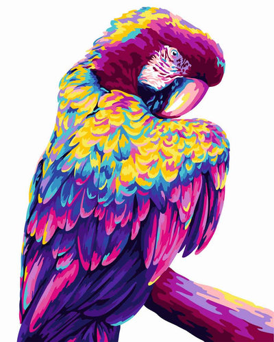 Paint by Numbers DIY - Parrot Pop Art