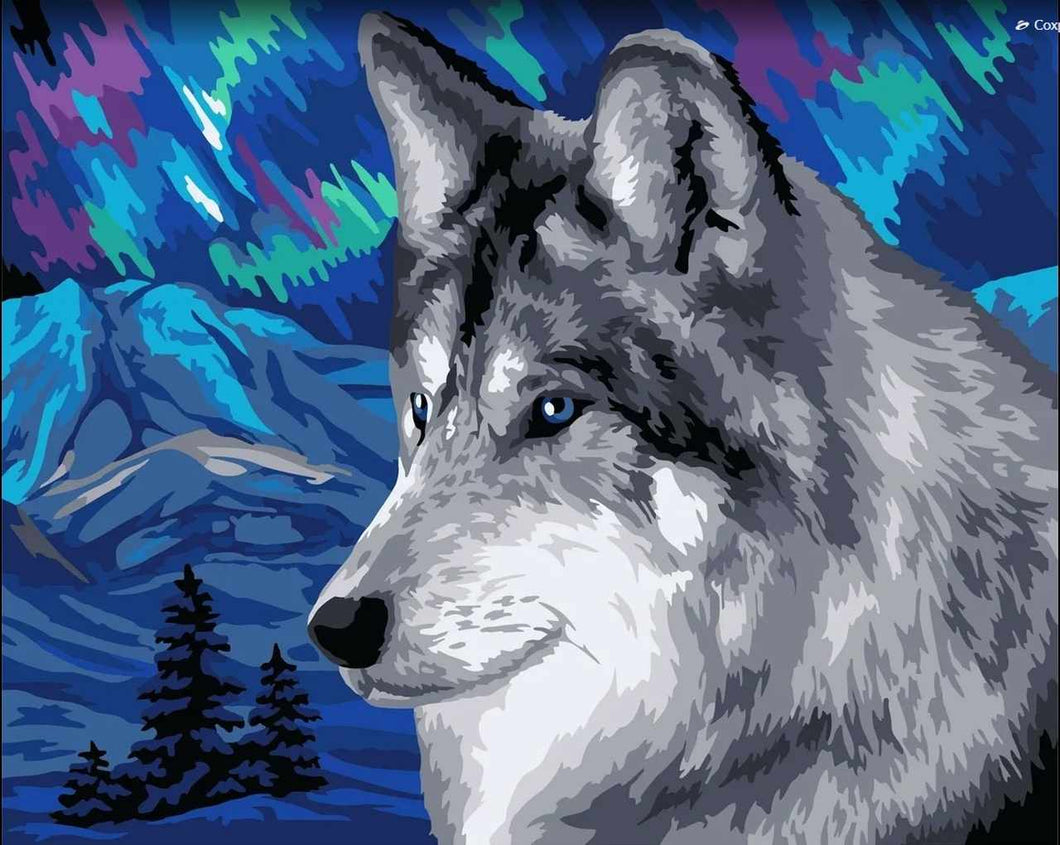 Paint by Numbers DIY - Polar wolf