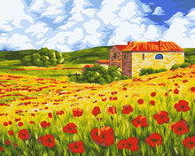 Load image into Gallery viewer, Paint by Numbers DIY - Poppy Meadow
