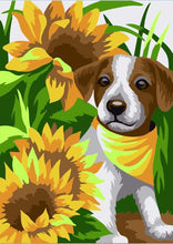 Load image into Gallery viewer, Paint by Numbers DIY - Puppy in the Sunflowers - MINI
