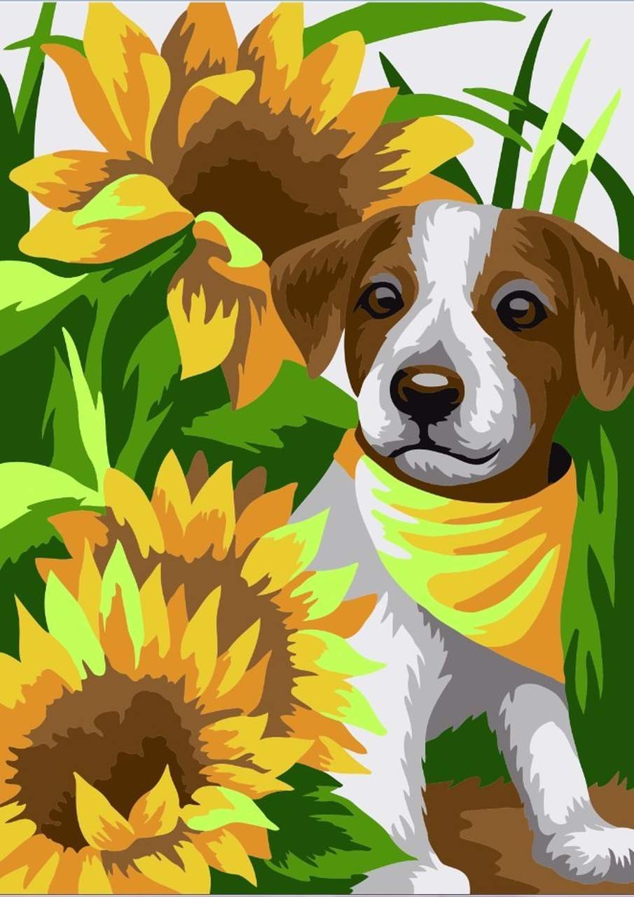 Paint by Numbers DIY - Puppy in the Sunflowers - MINI